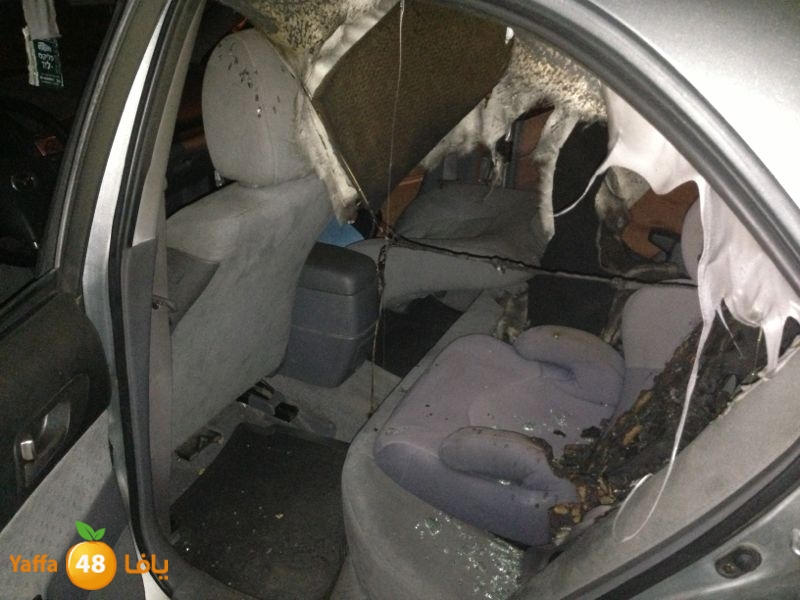 firelud608608 (6).jpg